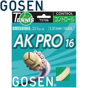 ゴーセン UMISHIMA AKプロ16 硬式テニスストリングス TS7062-15