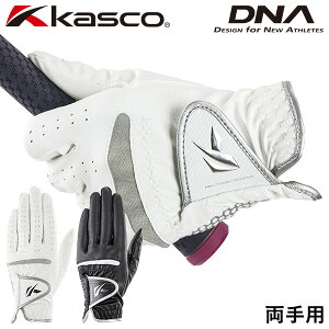 [֔z LXR St DNA VR fB[X StO[u p SF-2312LW