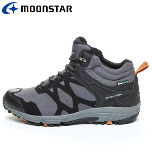 yӍ՘AMAX3,900~OFFN[|s!!L:11/14()10:00`11/16()23:59zMoonStar([X^[) SPLT SDM07 OC 12322947