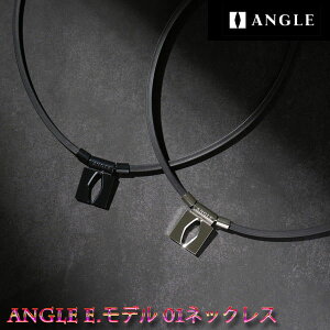 [֔z yË@zAO e.f 01 lbNX ANGLE e.MODEL 01 NECKLACE