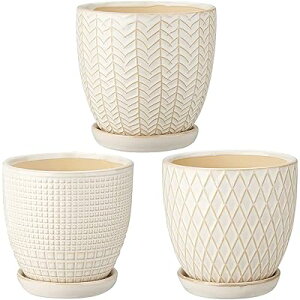 Villa Como Aؔ 픫 v^[ 3.5 3 󂯎Mt t    A CeA  ItBX   ()