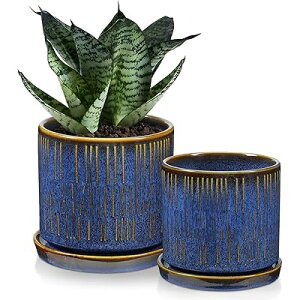 Villa Como Aؔ 픫 v^[ 3.5 4.5 2_Zbg t 󂯎Mt   A CeA  ItBX   lCr[