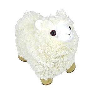 Scott Edward StNuJo[ Ђ̃V[ ʂ Ȃ̃Nuĕی삵܂