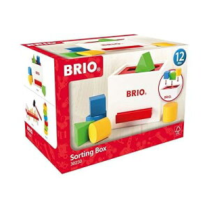 BRIO `킹{bNX() 30250 1΂ ؐߋ ؂̂