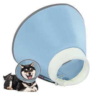 IECOii GUxXJ[  L h^Cv \ y ~h~ rߖh~ 畆a ی p D ^ u[ S