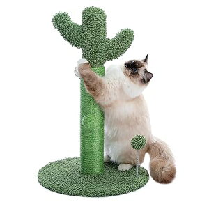 PAWZ Road 猫 爪研ぎ 縦型 爪とぎポール サボテン 大型猫 麻紐 キャットタワー 低め 猫タワー ねこのおもちゃ 省スペース 運動不足解消 猫の遊び場 - 高さ65cm グリーン