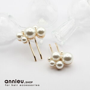 |j[tbN | 2 Zbg | wAtbN wAJtX wAS wAtbN wAANZT[ annieu Aj p[ ^ S[h Vo[ i ꂢ l wAAW ܂Ƃ