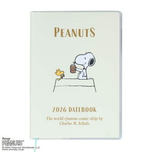 Xk[s[ B6 fCgubN 2026 蒠@}X[@623016