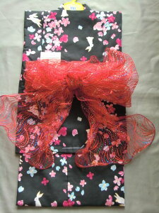 q߁@100cm@3-4΁yz䂩@Pi@yEԐEz