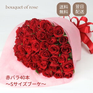 ŒZ  Ԃo40{ u[P ԑ Mtgj KN wj Əj ̓ ̓ a LO җ v|[Y NX}X l o^C zCgf[ ỏԑ 