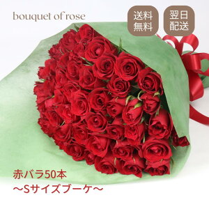 ŒZ  Ԃo50{ u[P ԑ Mtgj KN wj Əj ̓ ̓ a LO җ v|[Y NX}X l o^C zCgf[ ỏԑ 