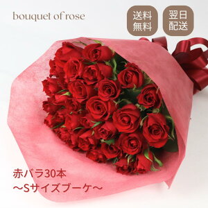 ŒZ  Ԃo30{ u[P ԑ Mtgj KN wj Əj ̓ ̓ a LO җ v|[Y NX}X l o^C zCgf[ ỏԑ 