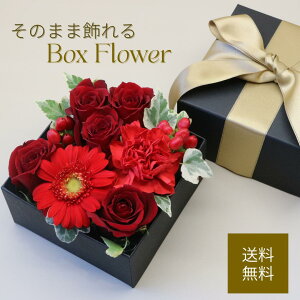 yԊ킪vȂ ̂܂܏z{bNXt[ ỏԑ t o ԑ  t[ yzMtg a LO LO җ j ̓ ̓ j 