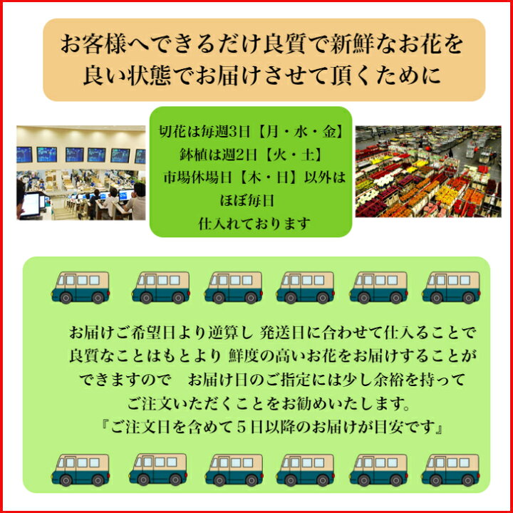 楽天市場 黄色いバラの花束 イエローローズ 送料無料 黄色バラ 花束 フラワー ギフト お祝い 薔薇 本 30本 50本 60本 100本 108本 誕生日 結婚記念日 プロポーズ クリスマス 成人式 バレンタイン ホワイトデー バラの花束 バラ 薔薇の花束 薔薇花束 豪華な花束 土曜日 楽天市場 黄色いバラの花束 イエローローズ 送料無料 黄色バラ 花束 フラワー ギフト お祝い 薔薇 本 30本 50本 60本 100本 108本 誕生日 結婚記念日 プロポーズ クリスマス 成人式 バレンタイン ホワイトデー バラの花束 バラ 薔薇の花束 薔薇花束 豪華な花束 土曜日
