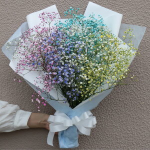 ݑ ԑ JX~\E u[P ԑ ݂ C{[ JX~\Ẽu[P ݂̃u[P hCt[  a a CX^f Instagram CX^O ސE