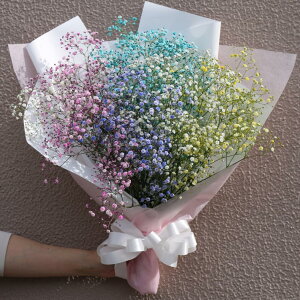 ݑ ԑ JX~\E u[P ԑ ݂ C{[ JX~\Ẽu[P ݂̃u[P hCt[  a a CX^f Instagram CX^O ސE