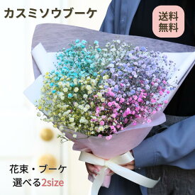 かすみ草 花束 カスミソウ ブーケ 花束 かすみそう レインボー カスミソウのブーケ かすみそうのブーケ ドライフラワー 送料無料 誕生日 お誕生日 インスタ映え Instagram インスタグラム 退職 送別 記念日 誕生日 プレゼント 結婚 サイズが選べる