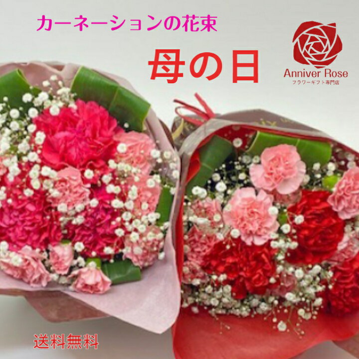 楽天市場 母の日 遅れてごめん カーネーションの花束 ブーケ 送料無料 赤いカーネーション ピンクカーネーション かすみ草 花束 フラワー ギフト お祝い 母の日 父の日 土曜日発送 アニバローズ