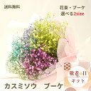 敬老の日 かすみ草 花束 カスミソウ ブーケ 花束 かすみそう レインボー カスミソウのブーケ かすみそうのブーケ ドラ…