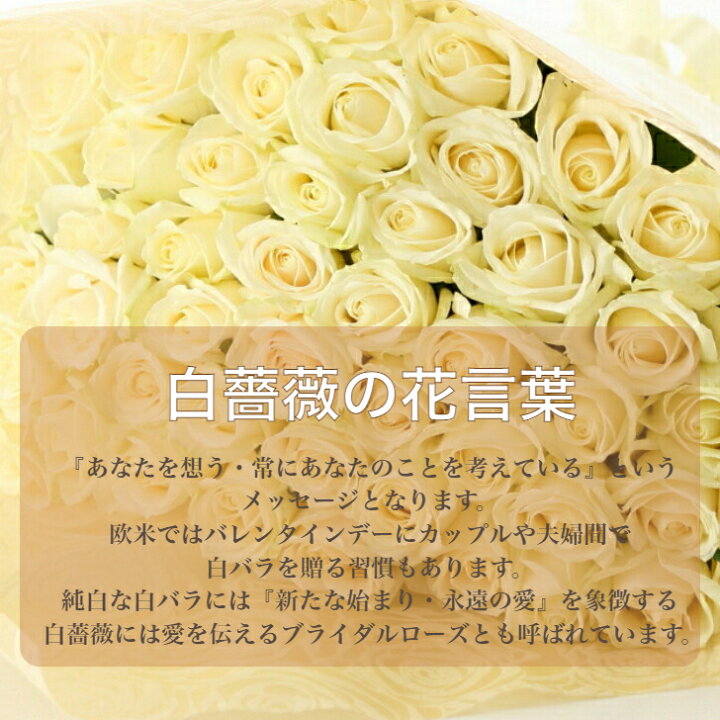 楽天市場 バラ 花束 白バラ 白 花束 フラワー ギフト お祝い 薔薇 本 30本 50本 60本 100本 108本 誕生日 結婚記念日 還暦 プロポーズ クリスマス 成人式 バレンタイン ホワイトデー バラの花束 バラ 薔薇の花束 薔薇花束 豪華な花束 土曜日発送 選べる 本数 プレゼント