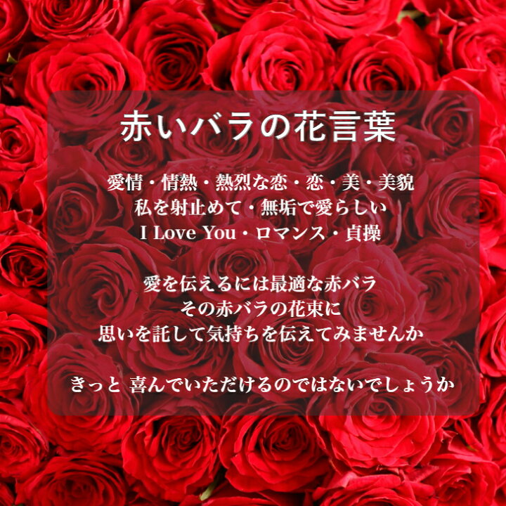 楽天市場 バラ 花束 生花 赤バラ本 かすみ草 バラとかすみ草 花束 ギフト 送料無料 お祝い 薔薇 入学祝い 卒業祝い 母の日 父の日 誕生日 結婚記念日 還暦 プロポーズ クリスマス 成人式 バレンタイン ホワイトデー バラの花束 バラ 薔薇の花束 土曜日発送