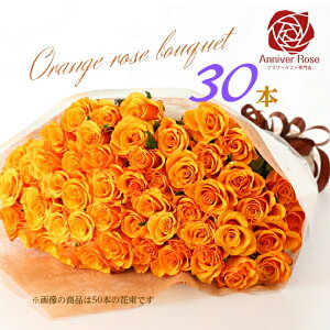 o ԑ IWỏԑ JX~ ǉ y{܂Ƃ߂ăZbg̔łzIWo ԃo sNo Fo o  o KN Mtg j KN yz30{ 