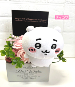 y`CJzyn`zy͂zyjzyt[z yMtgzyv[g zΌԁy\[vt[z̓̓a278