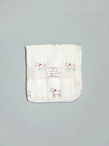 炩K[[nJ` AXCIS ANVX M K[[ nJ` g 2dK[[ 100% { 26×26cm nh^I xr[ ւ̎hȂ Df ŒʋCǂ zQ