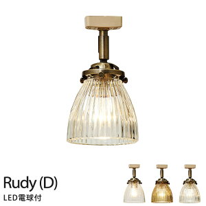 _Ng[v _Ng[p Cg k Ɩ AeB[N C^[tH Rudy(D) fBD LT-2026 CR SA ST E17 40W `LEDdidFjt yIKz