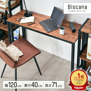 p\RfXN ȃXy[X 120 s40 70 [ ؐ fXN pcfXN VvfXN wK ׋ qp lp   rO  EbhfXN ؖڒfXN [NfXN 