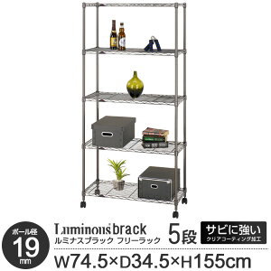 ���^�������b�N �X�`�[�����b�N �����b�N ���[ ���[�I �I ���~�i�X ���b�N ���~�i�X�u���b�N �u���b�N ���C���[���b�N�y�|�[���a19mm�z�t���[���b�N5�i75W�y��74.5 ���s34.5 ����155cm�zBN1575-5