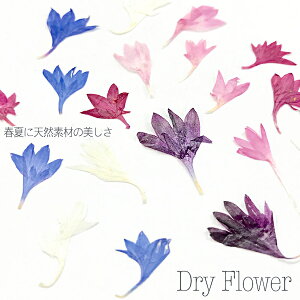 ylC͂nhChEANZT[Ɂz[hCt[ 5 20] #lC #lCp[c #lCpi #nhCh #ANZT[ #W #WNtg #hCt