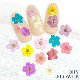 ネイルパーツ [押し花 10枚入り 10色 ] ドライフラワー ネイル用品 ネイル パーツ 花 ハンドメイド nail decorations dried flower