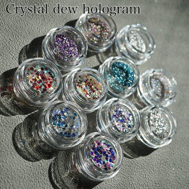 [Crystal dew hologram 18種類] クリスタルデューホログラム ネイル
