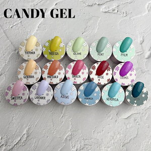 nail room Mint produce [CANDY GEL �S17�F 3g]�W�F�� �J���[�W�F�� �Z���t�l�C�� �I�[���� �~���g �L�����f�B�[�W�F�� �J���t��