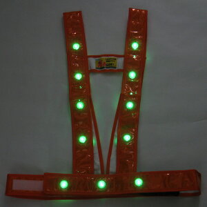 LED^XL^xXgEΓ_/Γ_ؑցiIW/t[TCYj