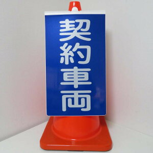 R[TCE_ԗiˁEЖʕ\j ˃R[TC R[{[h R[\ J[R[{[h OpR[TC