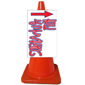 PxR[TCEEɂĂiPx/Жʕ\j R[TC R[p{[h J[R[TC OpR[TC