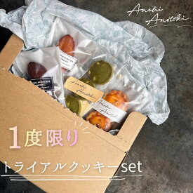1回限定 トライアル (ポスト投函) クッキーセット お試し セット 単品 フィナンシェ 6種類 焦がしバター 個包装 アノヒアノトキ 焼き菓子 洋菓子 スイーツ 自宅用 人気 プレゼント かわいい 可愛い 兵庫 神戸 元町 内祝 内祝い お礼 職場 おしゃれ お取り寄せ クッキー