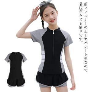 yz ̎q Zp[g  V[gpc t@Xi[ n V   IoT n[tWbv Vv 100 110 120 130 140 150 160 ㉺ ̌^Jo[ w w 