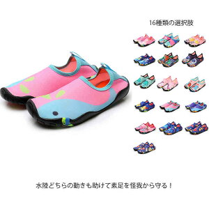 EH[^[V[Y }V[Y LbY q p C ANAV[Y r[`V[Y }X|[c y ̎q j̎q AEghA v[  l W[ 