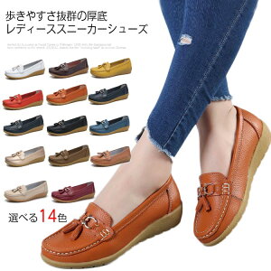  Iׂ14F×10TCY EH[LOV[Y vbgtH[ JV JWAV[Y {v RtH[g  vC fB[X Xb|  [t@[