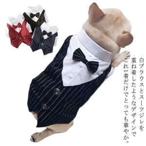 hbOEGA X[c Vc ybg  L { d˒ t  tH[} ^ ^ j̎q X[c xXg W U H   傫TCY TCY y