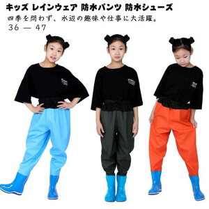 tC CV[Y q PVC C EF[_[ EGXgnC qp vCEFA Cpc ̎q LbY ȈՃEF[_[ J CEFA ꒅ Vђ h j̎q q 