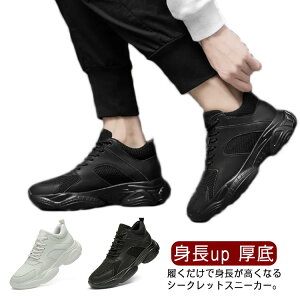 Xj[J[ V[NbgV[Y Y C 4/6/8cm gup  Cq[ V[Y K JWA ^C ʋCQ ₷ wȂC