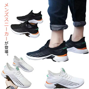 Y Xj[J[ y JWAV[Y EH[LOV[Y jOV[Y JWA ^C [Jbg ʋC r X|[cV[Y ɂ ₷ ɂȂ Vv