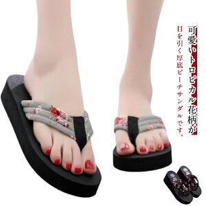 fB[X fB[X r[`T_ gsJԕ n y q[5.5cm r[`T_ X|[cT_ T_ gOT_ ɂȂ 킢 C ̎q q[3cm W[p 