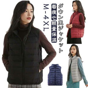  AE^[ fB[X  _EWPbg ~ _E _ER[g _ECi[xXg ۉ H~  fB[X ʋ   JWA ȃxXg 