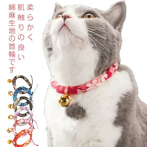 S12F L 4TCY  t a_ L ܂˂˂  ˂ lR ˂ ^  킢 Lp Lp Lpi a