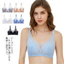 シースルー 薄い 上品 軽量 涼しい フィットネス 軽量 ナイトブラ リラックス ランジェリー 透け感 レース 可愛い ブラジャー